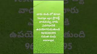 Vari panta peragadaniki vestige Agri product9618283395 [upl. by Diamond]