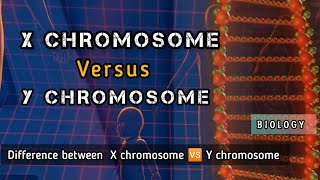 X and Y chromosome explain Difference between X chromosome vs Y chromosome chromosome [upl. by Llednahc17]