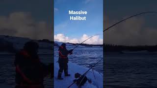 Norway Halibut fishing [upl. by Leith]