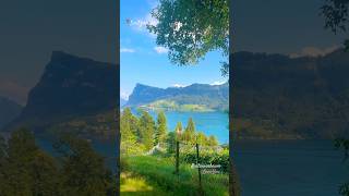 Kastanienbaum switzerland swissbeauty travel shorts shortvideo [upl. by Noinatrad216]