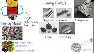 Heavy Metal Poisoning Toxicity Causes Symptoms and treatment Lead poisoning cadmium poisoning [upl. by Kneeland]