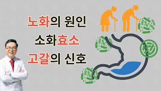 호르몬 조기 노화의 원인인 소화효소가 고갈되고 있다는 신호 sign of digestive enzyme shortage [upl. by Notreb]