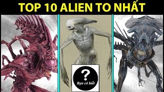 Top 10 con ALIEN Xenomorph siêu to khổng lồ nhất  BanCoBiet  Top 10 Biggest Aliens [upl. by Mraz405]