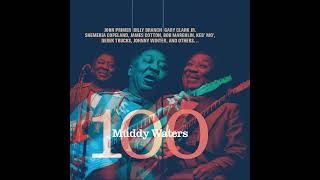 Muddy Waters  Muddy Waters 100 Full album [upl. by Llieno240]