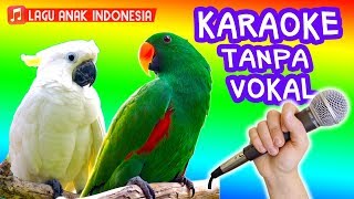 BURUNG KAKAK TUA 🎵🎤 Lagu Anak Versi Karaoke TANPA VOKAL Kakatua [upl. by Linnea680]