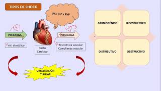 Fisiopatología del Shock  USMP [upl. by Adniram531]