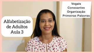 Alfabetização de adultos Aprendendo Vogais  Consoantes  Sílabas  Procedimento das Casinhas EJA [upl. by Ecirp583]