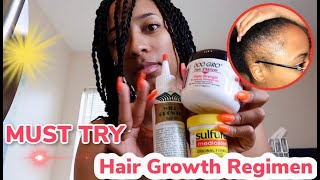 Extreme Hair Growth RegimenHOW TO GROW BACK YOUR EDGES ♡ SeQuoiaCreates [upl. by Noach812]