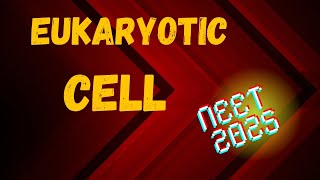 Eukaryotic cell  Neet 2025  Bushrasmedicalinsights [upl. by Thirion]