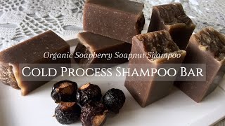 Homemade Natural Shampoo Bar with Organic Soapberry Soap Nut Shampoo  Shampo Lerak Alami [upl. by Eilagam87]