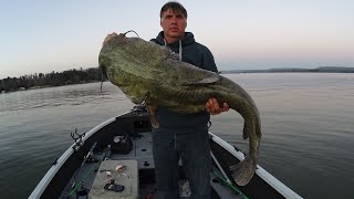 7 Keys To Catch A MONSTER CATFISH Huge Flathead [upl. by Herzberg]