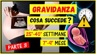 Gravidanzacosa succede settimana per settimana mese per mese Cambiamenti 2540 settimana79 mese [upl. by Elleneg]