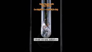 Copper amp Silver Nitrate Reaction experiment viral chemistry [upl. by Eidas]