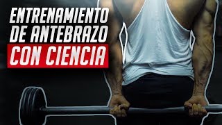 EL mejor entrenamiento de antebrazo  CIENTÍFICAMENTE COMPROBADO [upl. by Edya994]