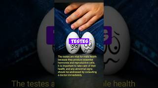 Testes function biology shorts top10amazingfactsoftheworld [upl. by Katie]