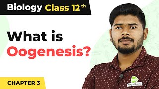 Oogenesis  Human Reproduction  Class 12 Biology 202223 [upl. by Halika]