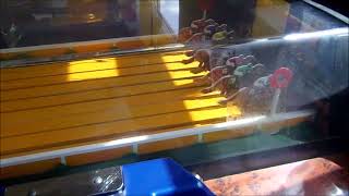 Coin Operated Kentucky Derby Amusement Arcade Machine [upl. by Anyel]