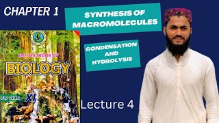 Synthesis and breakdown of macromolecules  11 class sindh board new biology  Dr shahjahan sangi [upl. by Groome894]