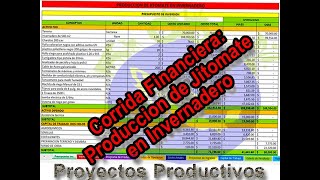 Corrida Financiera para proyecto de Producción de Jitomate en Invernadero [upl. by Haldan]