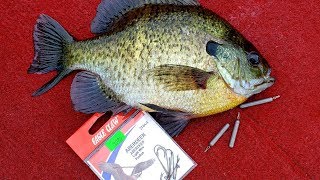 Dropshot Fishing for Panfish Big Bluegills [upl. by Ibbison728]