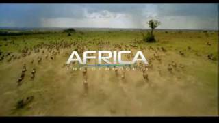 Seen on IMAX  Africa  The Serengeti Trailer [upl. by Eerahc]