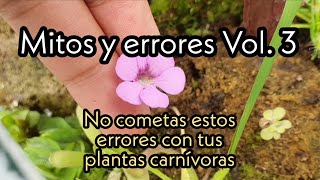 Plantas Carnivoras  Mitos y errores de cultivo Vol3 [upl. by Brenn]