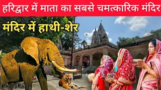 Haridwar के जंगलों में devi maa का सबसे चमत्कारिक मंदिर  Sureshwari Devi Mandir  Haridwar Tour [upl. by Linea]