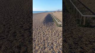 Peter Rabbit loves Brighton but not the drilling 🙂 brighton sunshine peterrabbit beach [upl. by Sueddaht]