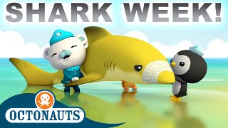 Octonauts  Lemon Shark Rescue 🦈🍋⛑️  Season 1  Full Episodes  Cartoons for Kids [upl. by Certie822]