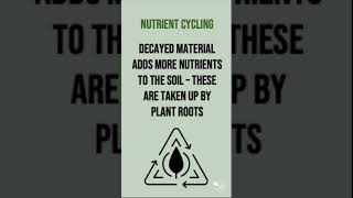 The Nutrient Cycle  60 Second Geography on Ecosystems [upl. by Aratas]