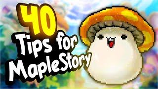 40 MapleStory Tips for New and Existing Players [upl. by Ardath]