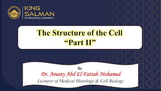 Structure of the cell lecture part II Golgi lysosome peroxisome ribosome [upl. by Hoopes]