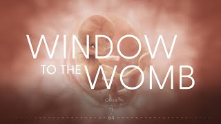 Amazing Timelapse of EVERY SINGLE DAY of a Child’s Development in the Womb  Window to the Womb [upl. by Pik]