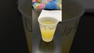 Osmosis Lab Video Experiment 2 Syrup Egg in Water [upl. by Reinaldos633]