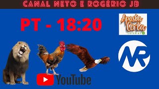 RESULTADO AO VIVO ROGERIO E NETO JB  PTN  11112024 [upl. by Ardnuahs267]