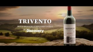 Trivento Real Life Bold Discoveries 2020  All Idents [upl. by Howzell401]