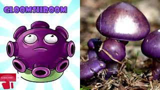 Zombie action All Plants Vs Zombies Upgrades In REAL Life [upl. by Minne]