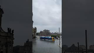 Dresden Trams in the city center 🇩🇪 [upl. by Balcer]