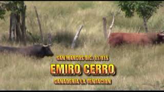 RECORDAR ESTE ENCIERRO EMIRO CERRO SAN MARCOS 2015 [upl. by Eniamej366]