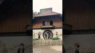 Cuckoo clock। Black Forest। Schwarzwald trendingshorts Youtube viralshort [upl. by Carrew]