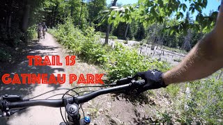 Trail 15  Gatineau Park  Pink Lake to Mine Road Mountain biking [upl. by Jepum213]