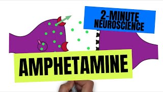 2Minute Neuroscience Amphetamine [upl. by Aytak205]