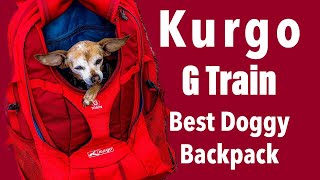 Best Hiking Backpack for Pet Lovers on the Market  KURGO G TRAIN DOG CARRIER BACKPACK [upl. by Scott]