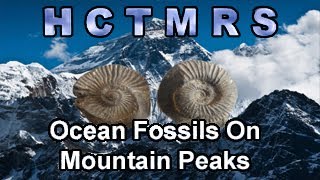 How Creationism Taught Me Real Science 103 Ocean Fossils on Mountain Peaks [upl. by Mcdade]