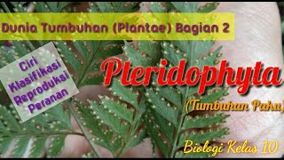 PTERIDOPHYTA Tumbuhan Paku  Plantae Bagian 2 [upl. by Areta]