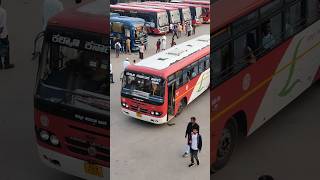 😍Bengaluru🔄basavana bagevadi🥰Ashok Leyland BSVI🚍ksrtcstatusksrtcbusbusyoutubevideonwkrtcshort [upl. by Esnahc]