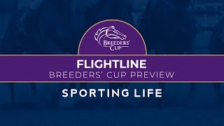 quotHes the star of the showquot  Flightline at the Breeders Cup 2022 [upl. by Greer10]