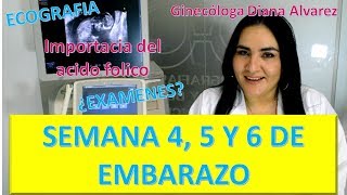 😍EMBARAZO SEMANA a SEMANA PRIMER MES DE EMBARAZO SEMANAS 4 A 7 por GINECOLOGA DIANA ALVAREZ [upl. by Ahsekad]