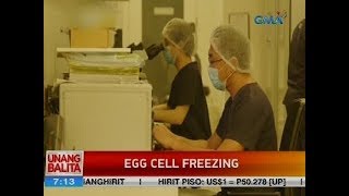 Egg cell freezing [upl. by Comptom]