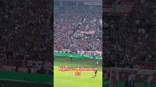 Mainz vs Hoffenheim 31  fsvmainz05 bundesliga tsghoffenheim hoffenheim goal [upl. by Phare618]